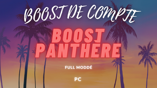 BOOST PANTHÈRE PC